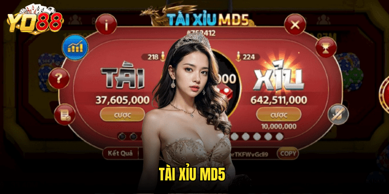 Tài Xỉu MD5