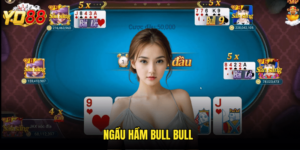 Ngầu Hầm Bull Bull