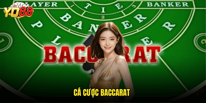 Cá Cược Baccarat